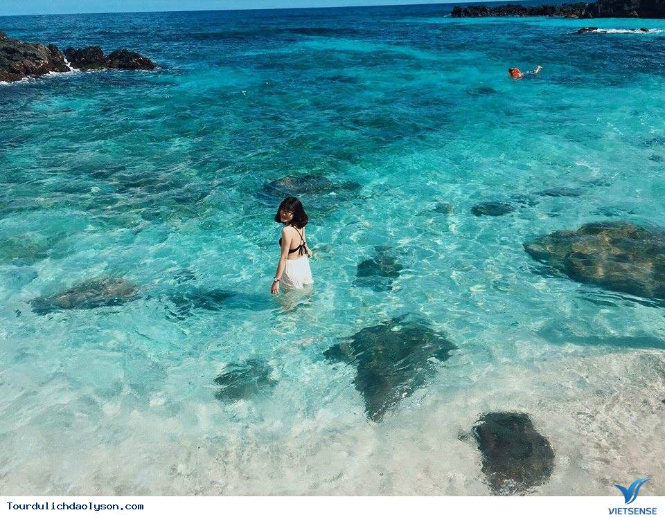 Nói không với túi nilon trên đảo Lý Sơn - Ảnh 4