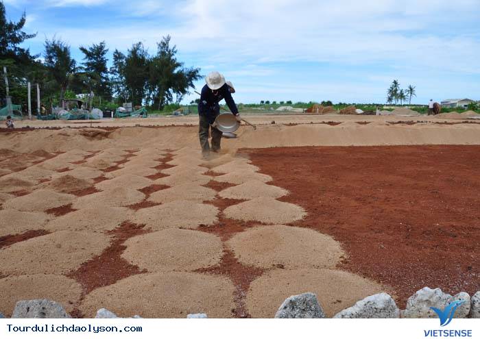 Nổi lo thiếu cát trắng của người trồng tỏi Lý Sơn - Ảnh 1 Nổi lo thiếu cát trắng của người trồng tỏi Lý Sơn - Ảnh 1