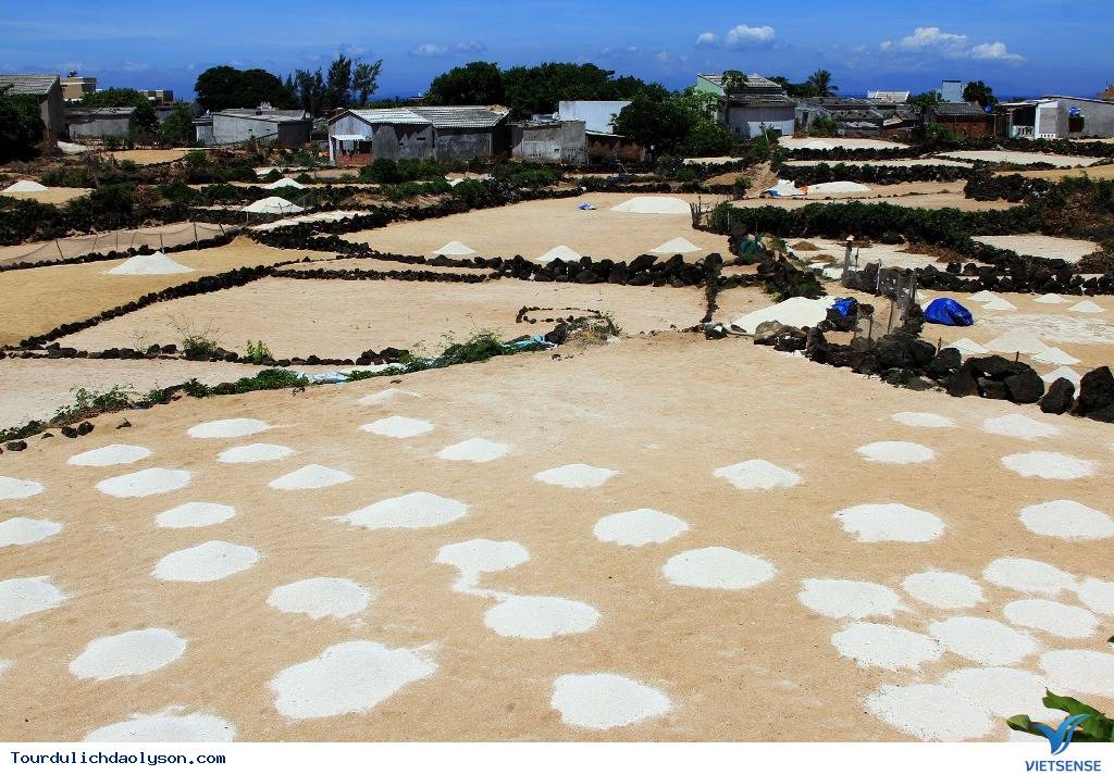 Nổi lo thiếu cát trắng của người trồng tỏi Lý Sơn - Ảnh 4 Nổi lo thiếu cát trắng của người trồng tỏi Lý Sơn - Ảnh 4