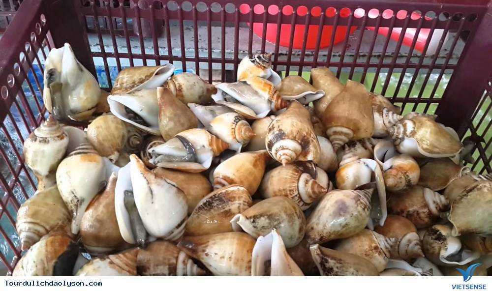 Ốc nhảy đảo Thuyền Chài- Quảng Ngãi - Ảnh 1