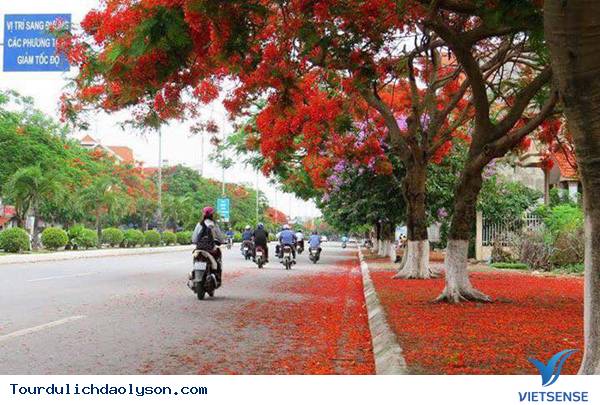 Quảng Ngãi những con đường đẹp như trong truyện cổ tích - Ảnh 1