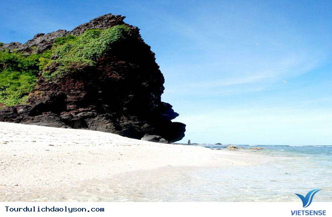 Rêu dệt thảm trầm tích đảo Lý Sơn - Ảnh 4 Rêu dệt thảm trầm tích đảo Lý Sơn - Ảnh 4