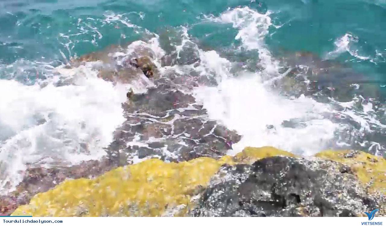 Rêu dệt thảm trầm tích đảo Lý Sơn - Ảnh 5 Rêu dệt thảm trầm tích đảo Lý Sơn - Ảnh 5