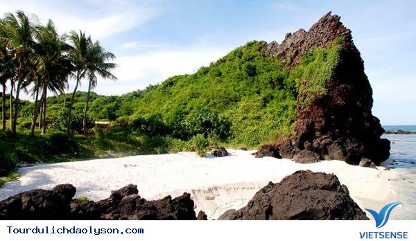 Rêu dệt thảm trầm tích đảo Lý Sơn - Ảnh 8 Rêu dệt thảm trầm tích đảo Lý Sơn - Ảnh 8