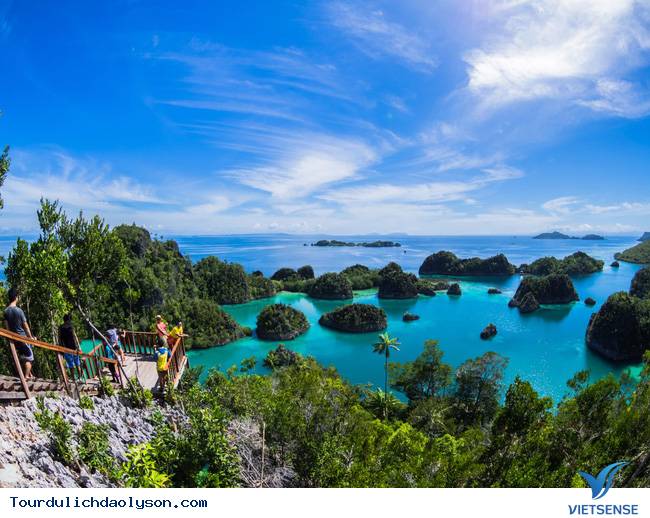 Rêu dệt thảm trầm tích đảo Lý Sơn - Ảnh 10 Rêu dệt thảm trầm tích đảo Lý Sơn - Ảnh 10