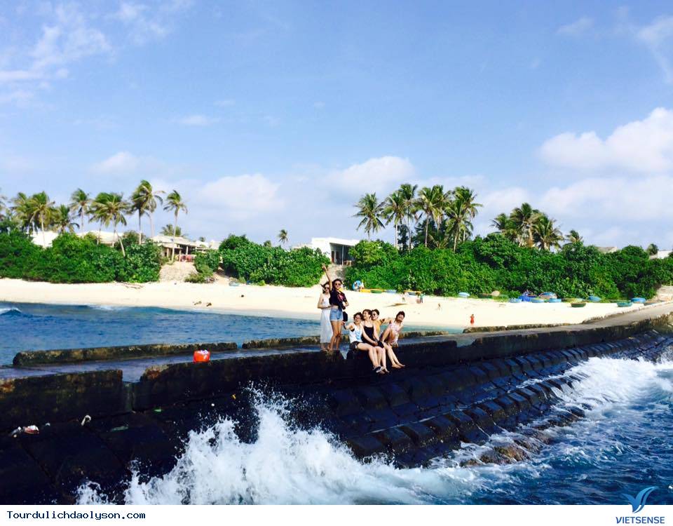 Rêu dệt thảm trầm tích đảo Lý Sơn - Ảnh 7 Rêu dệt thảm trầm tích đảo Lý Sơn - Ảnh 7