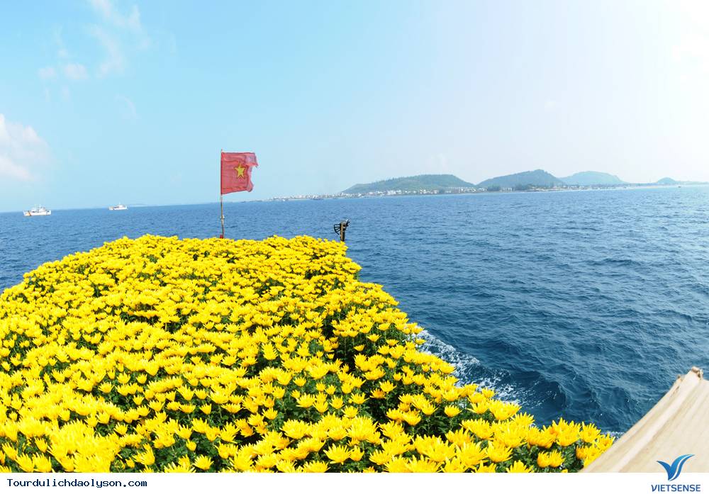 Rộn ràng đón tết trên đảo Lý Sơn - Ảnh 1