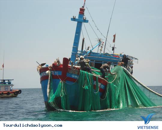 Rộn ràng mùa mực nan- mực lá xứ Quảng - Ảnh 3 Rộn ràng mùa mực nan- mực lá xứ Quảng - Ảnh 3