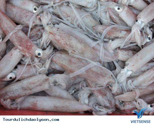 Rộn ràng mùa mực nan- mực lá xứ Quảng - Ảnh 2 Rộn ràng mùa mực nan- mực lá xứ Quảng - Ảnh 2