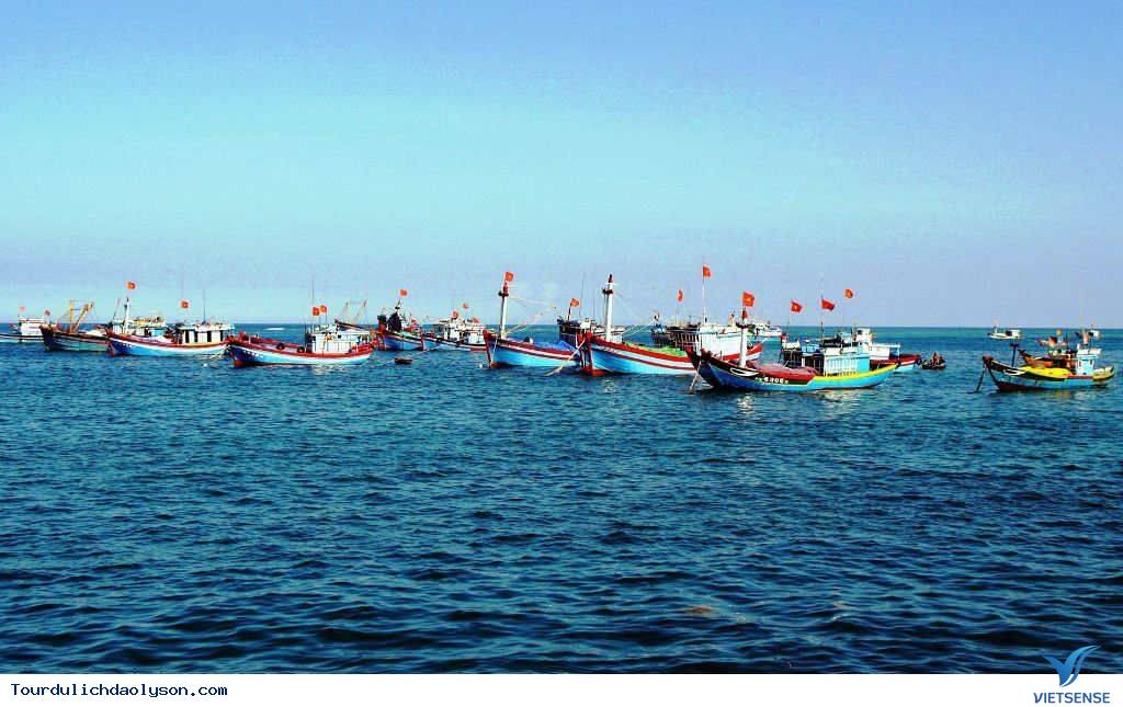 Rộn ràng mùa mực nan- mực lá xứ Quảng - Ảnh 4 Rộn ràng mùa mực nan- mực lá xứ Quảng - Ảnh 4