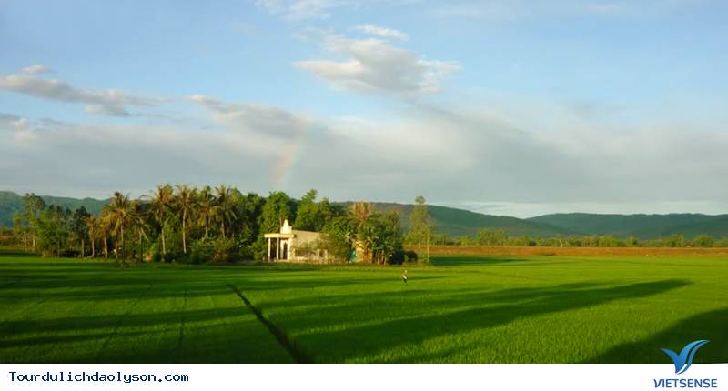 Rộn ràng thăm đảo Sa Huỳnh- Miền sóng vỗ - Ảnh 4