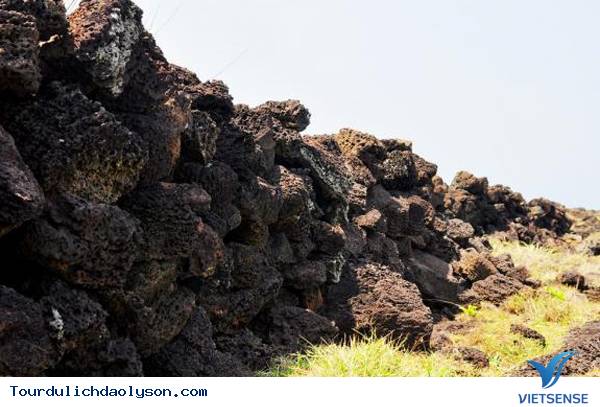 Ruộng bậc thang hút khách tại đảo Lý Sơn - Ảnh 2