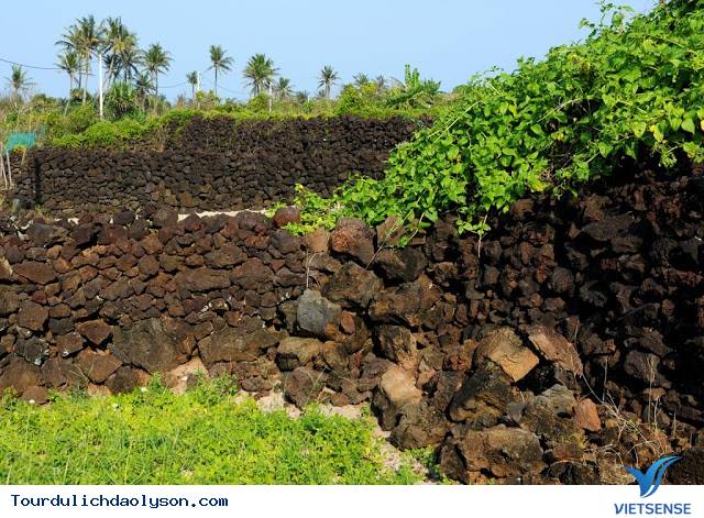 Ruộng bậc thang hút khách tại đảo Lý Sơn - Ảnh 6