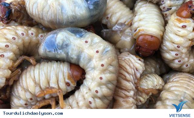 Sùng đất món ăn dân dã xứ Quảng - Ảnh 2 Sùng đất món ăn dân dã xứ Quảng - Ảnh 2