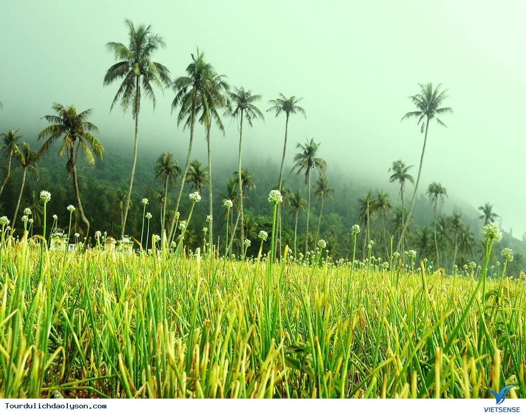 Tặng 1.000 lá cờ Tổ quốc cho ngư dân Lý Sơn - Ảnh 4