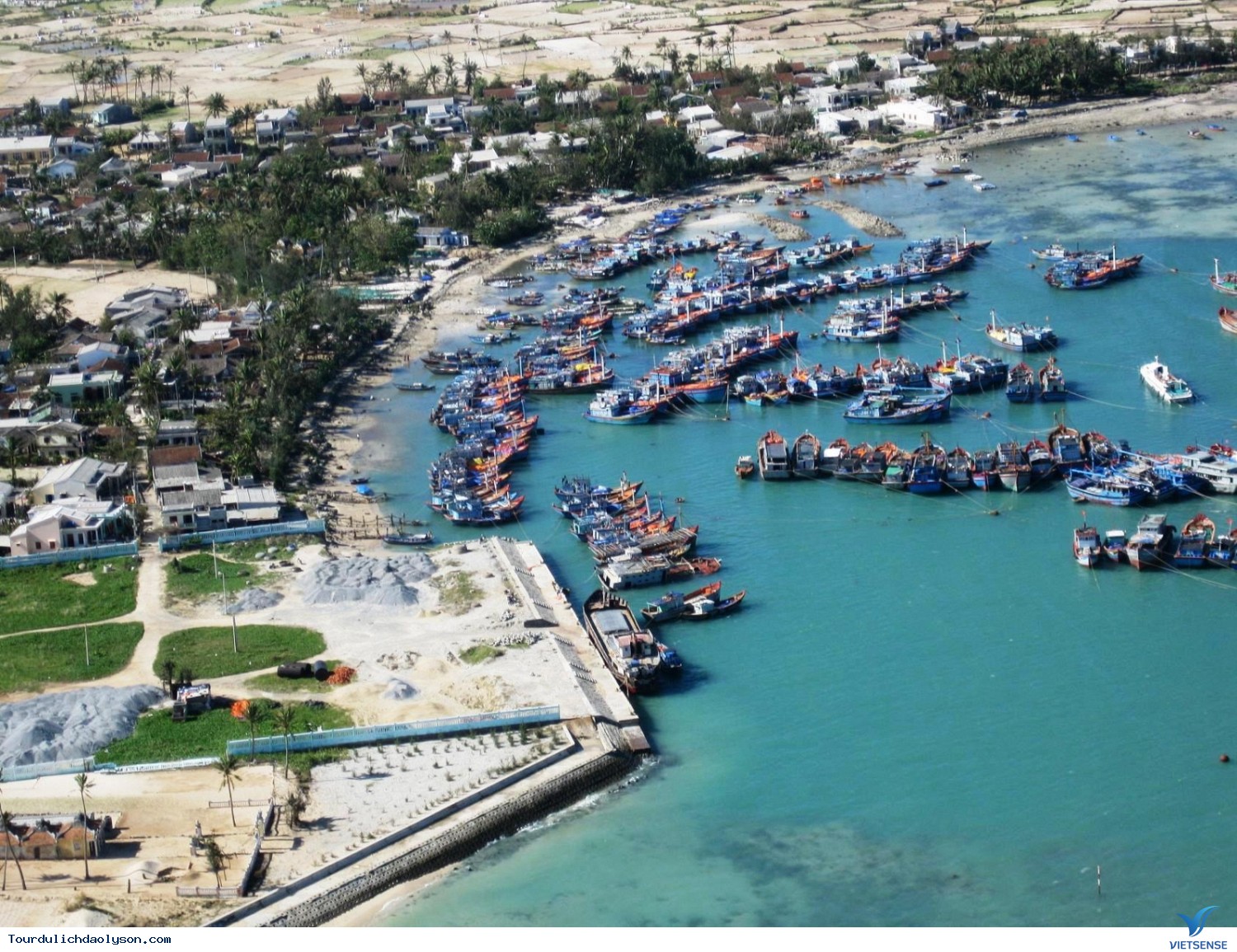 Thành lập Khu bảo tồn biển đảo Lý Sơn - Ảnh 1 Thành lập Khu bảo tồn biển đảo Lý Sơn - Ảnh 1