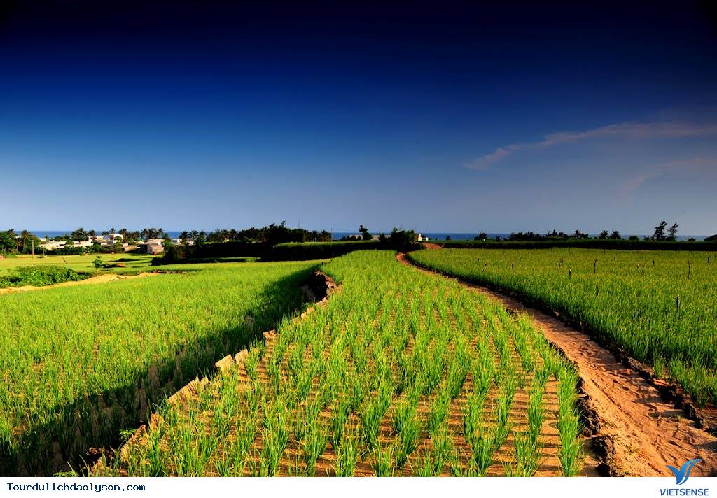 thiên đường thăm quan, trải nghiệm
 biển đảo Lý Sơn - Ảnh 3