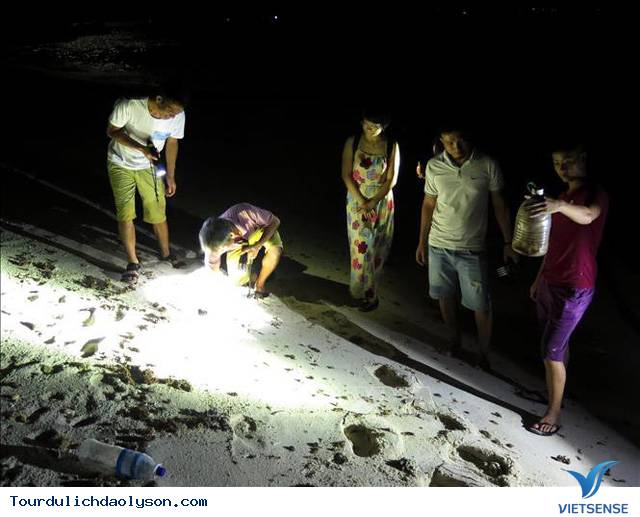 Thú Vị Với Trải Nghiệm Săn Cua, Còng Về Đêm Ở Lý Sơn - Ảnh 1