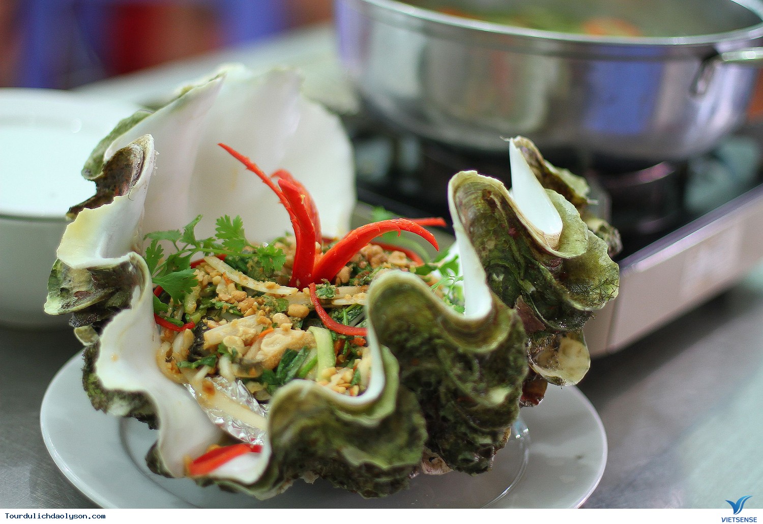 Ốc tượng Ốc tượng