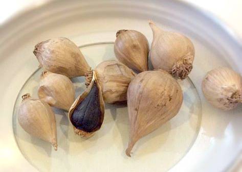 Cách phân biệt tỏ cô đơn Lý Sơn thật