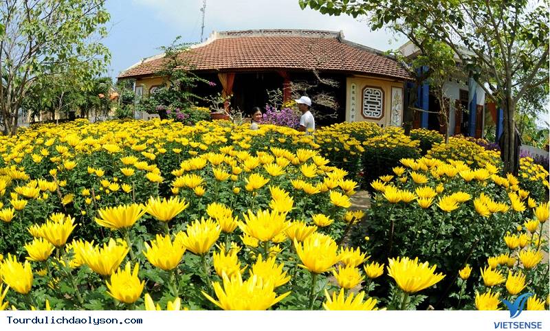 Tới Lý Sơn Nhớ Ghé Thăm Nhà Cổ 200 Năm Tuổi - Ảnh 2 Tới Lý Sơn Nhớ Ghé Thăm Nhà Cổ 200 Năm Tuổi - Ảnh 2