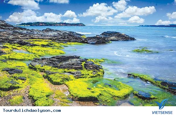 Chương trình Lý Sơn: Hà Nội - Quảng Ngãi 4 Ngày 3 Đêm - Ảnh 3