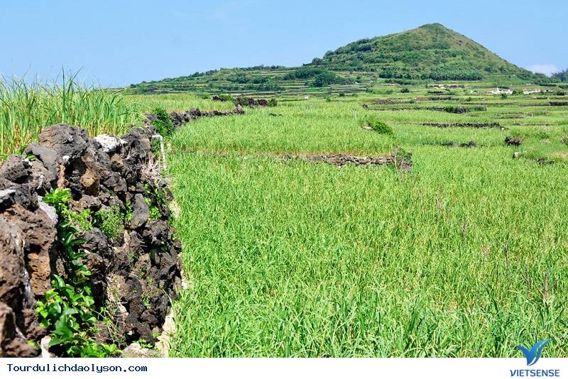 Thửa ruộng bậc thang độc đáo