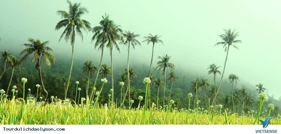 Khởi hành từ Hà Nội 3 Ngày 2 Đêm Hè 2025 - Ảnh 2 Khởi hành từ Hà Nội 3 Ngày 2 Đêm Hè 2025 - Ảnh 2