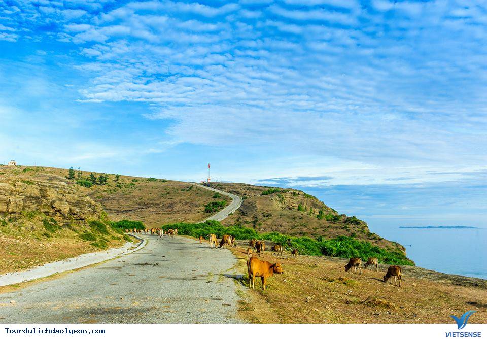 Vết tích núi lửa hàng triệu năm trên đảo Lý Sơn - Ảnh 5