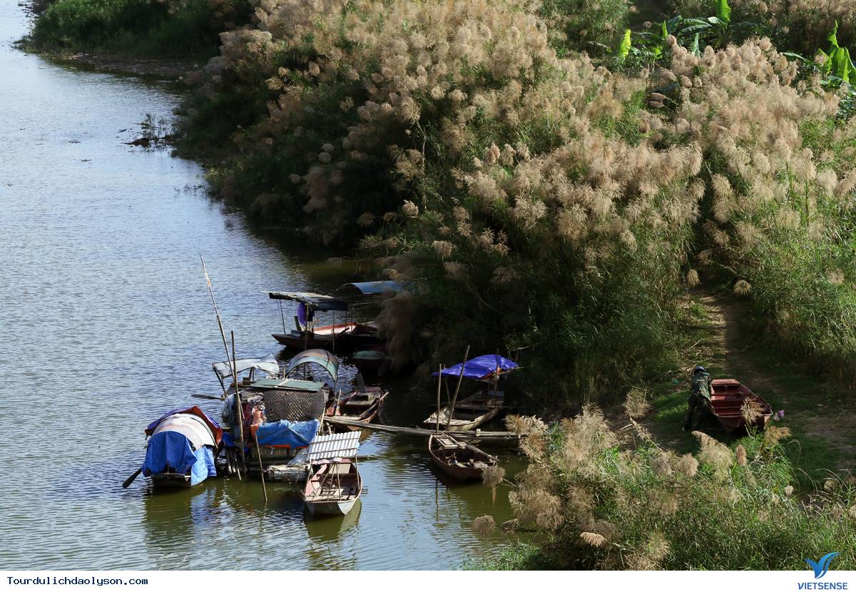 Vi vu bên bờ sông Trà - Ảnh 3 Vi vu bên bờ sông Trà - Ảnh 3