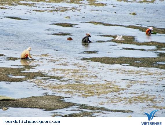 Xu xoa hương vị biển đảo Lý Sơn - Ảnh 2