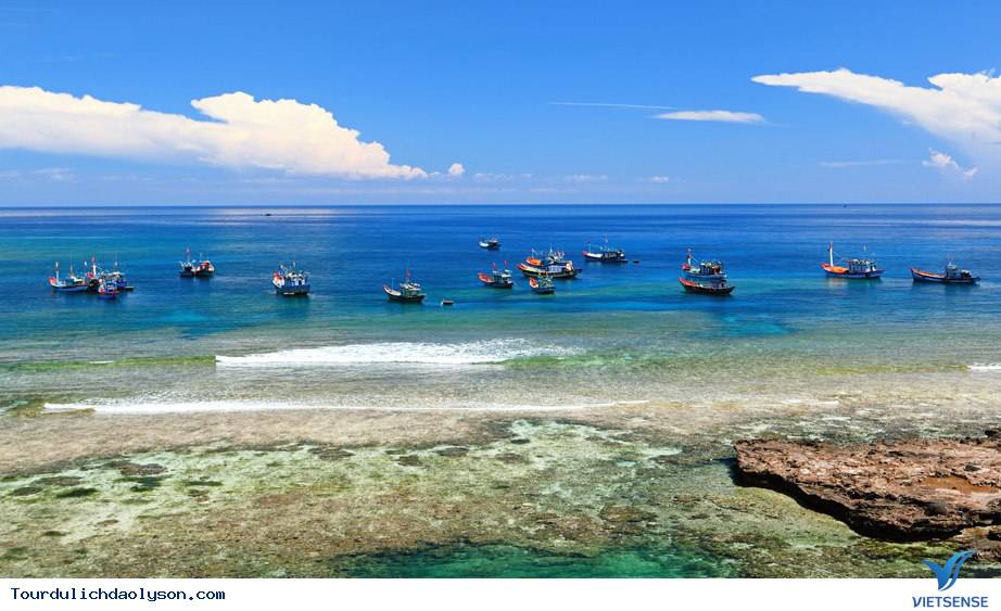 Xuân về trên đảo Lý Sơn - Ảnh 4